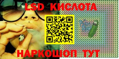 индика Усть-Джегута