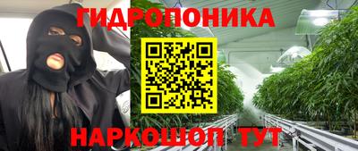 индика Усть-Джегута