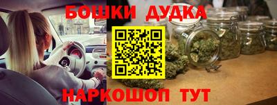 индика Усть-Джегута