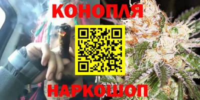 индика Усть-Джегута