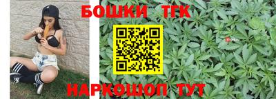индика Усть-Джегута