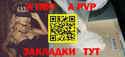 индика Усть-Джегута