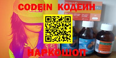 индика Усть-Джегута